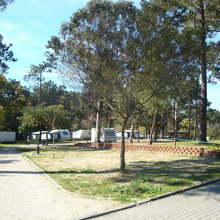 Orbitur Caminha Bungalows - Caravan Park Exterior foto