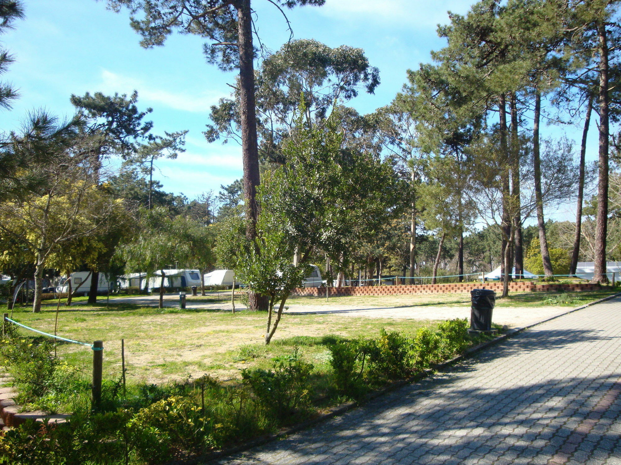 Orbitur Caminha Bungalows - Caravan Park Exterior foto